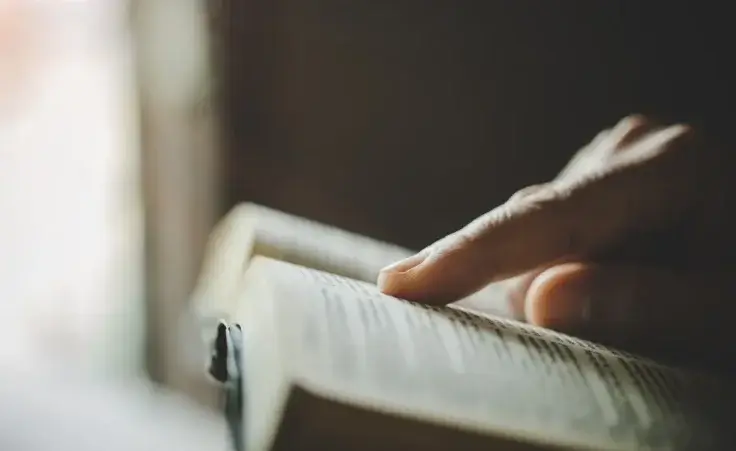 Woman's hands while reading the Bible. By doidam10/stock.adobe.com