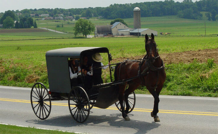 Amish family riding in a traditional Amish buggy in Lancaster County, Pennsylvania (Credit: Utente:TheCadExpert via en.wikipedia.org)