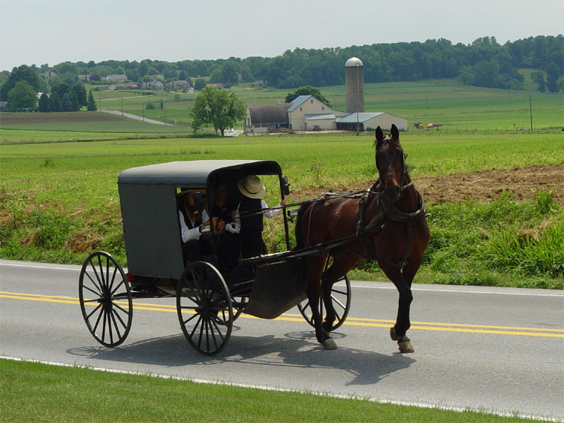 Amish family riding in a traditional Amish buggy in Lancaster County, Pennsylvania (Credit: Utente:TheCadExpert via en.wikipedia.org)