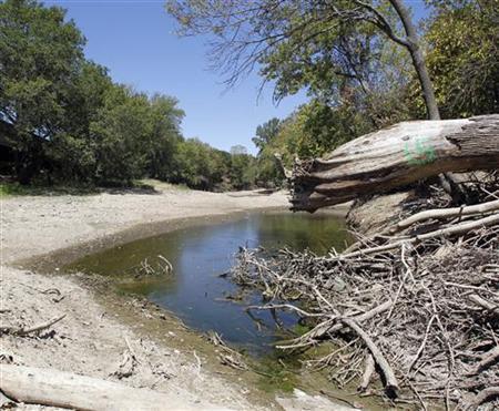The dried south fork of Lake Arlington is seen near Bowman Springs Park, where park personnel indicated the water level was nine feet below normal, in Arlington, Texas August 5, 2011. (Credit: Reuters/Mike Stone)