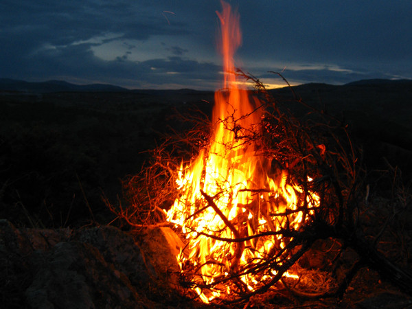 burning bush against sunset sky (Credit: djzealot via deviantart.com)