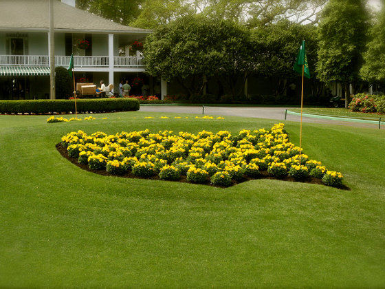 The logo for the Masters Tournament made of flowers, in front of the clubhouse of the Augusta National Golf Club (Credit: Torrey Wiley via Flickr)