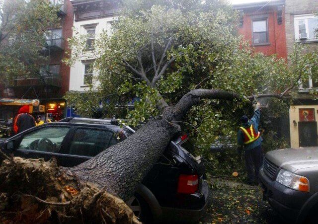 A workman cuts a tree in pieces after it fell on top of a car in Hoboken, New Jersey, October 29, 2012 (Credit: Reuters/Gary Hershorn)