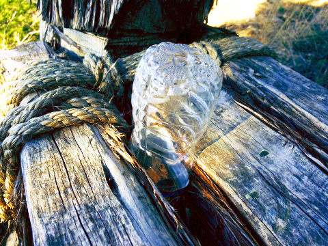 A water bottle wedged into my favorite bench at the top of my favorite hiking trail at Possum Kingdom Lake (Credit: Jim Denison)