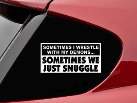 Sometimes I wrestle with my demons... sometimes we just snuggle funny vinyl decal bumper sticker (Credit: StickARoo via Amazon.com)