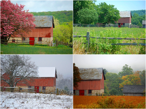 A montage of all fours seasons of an old barn across a field, taken from the same location in Buckingham, Pennsylvania. Clockwise from upper left: spring, May 4, 2011; summer, July 10, 2011; autumn, September 27, 2010; winter, November 27, 2012 (Credit: mtsofan via Flickr)