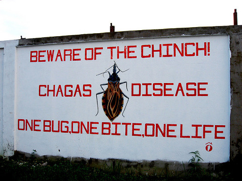 A Chagas, kissing bug warning sign reading 'Beware of Chinch! Chagas Disease. One Bug, One Bite, One Life' painted on a concrete wall somewhere in either Belize or Guatemala, February 11, 2007 (Credit: Clonny via Flickr)