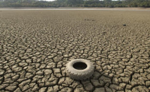 A tire rests on the dry bed of Lake Mendocino, a key Mendocino County reservoir, in Ukiah, California February 25, 2014 (Credit: Reuters/Noah Berger)