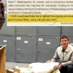 Caleb Brown of the Royal Tyrrell Museum of Paleontology proposed in a paper on a new species of dinosaur, June 4, 2015 (Credit: CBC)