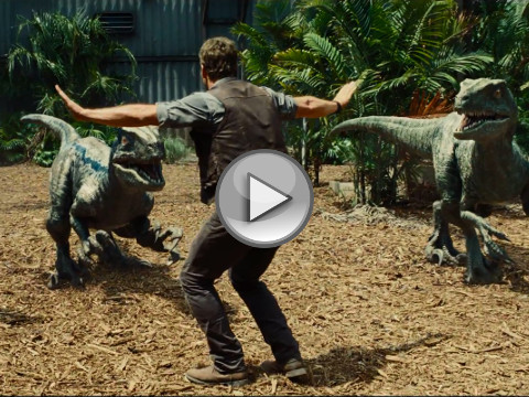 Chris Pratt as Owen Grady, a velociraptor expert and trainer, rescues a worker from the the raptor paddock, in a scene from the new Universal Pictures movie, Jurassic World, the fourth installment in the Jurassic Park franchise (Credit: Universal Pictures)