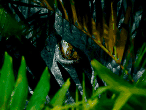 A velociraptor hides amongst the jungle ferns on Isla Nublar as it stalks its prey, in a scene from the new Universal Pictures movie, Jurassic World, the fourth installment in the Jurassic Park franchise (Credit: Universal Pictures)