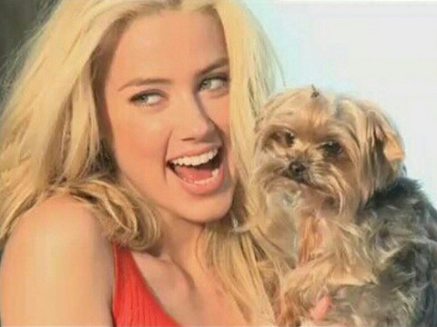 Amber Heard smiles as she poses for a photo with her and Johnny Depp's Yorkshire Terrier named Pistol, January 29, 2015 (Credit: Amber Heard via Instagram)