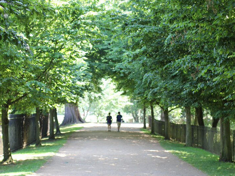 Two people on Addison's Walk outside Oxford, England (Credit: Mark Cook)