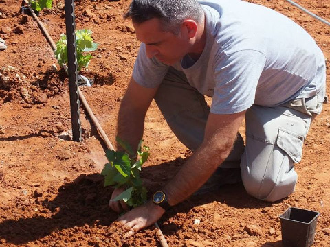 Ariel University seeks to recreate biblical era wine (Credit: Ariel University via Facebook)