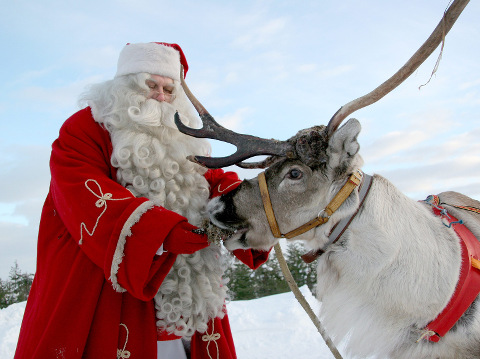 'Santa Claus feeding one of his reindeer at the Arctic Circle in Finland, November 23, 2012 (Credit: Credit: AP Image/Kaisa Siren)