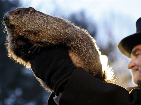 Groundhog Club co-handler John Griffiths holds Punxsutawney Phil during the annual celebration of Groundhog Day on Gobbler's Knob, Punxsutawney, Pennsylvania, February 2, 2016 (Credit: AP Photo/Keith Srakocic)