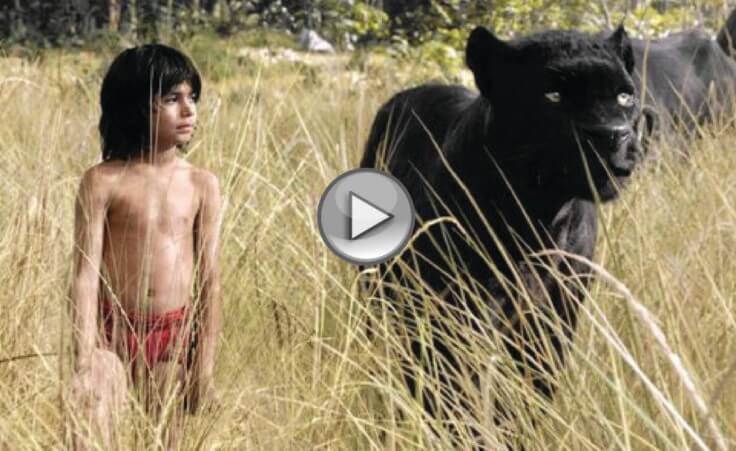 Disney's The Jungle Book Trailer