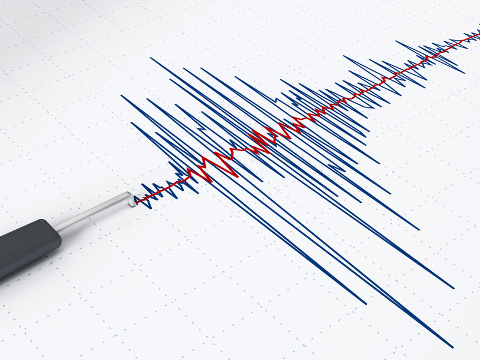 Seismic activity graph (Credit: destina via fotolia)