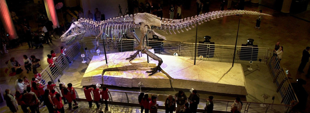 Buying a T. rex and restoring Notre Dame