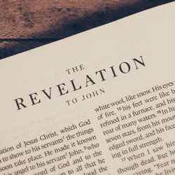How can I study the New Testament epistles and Revelation?