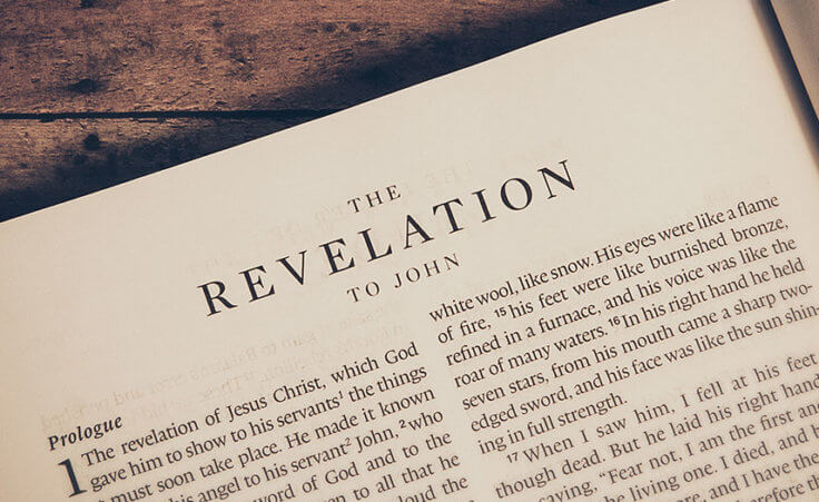 How can I study the New Testament epistles and Revelation?