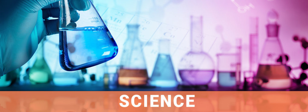 Category Science