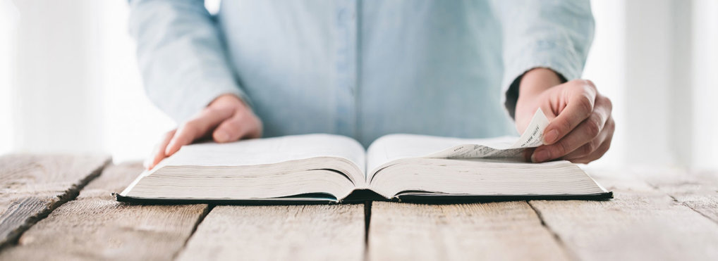 Why are there so many different Bible translations? And which Bible should I read?