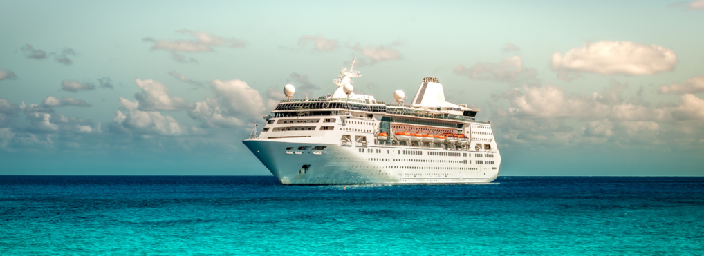 Robots may clean your next cruise ship