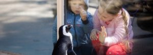 Penguins visit an art museum: Caring for creation and honoring the Creator