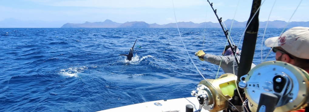 One fish pulls two men into the ocean: The perils and privilege of being 'fishers of men'