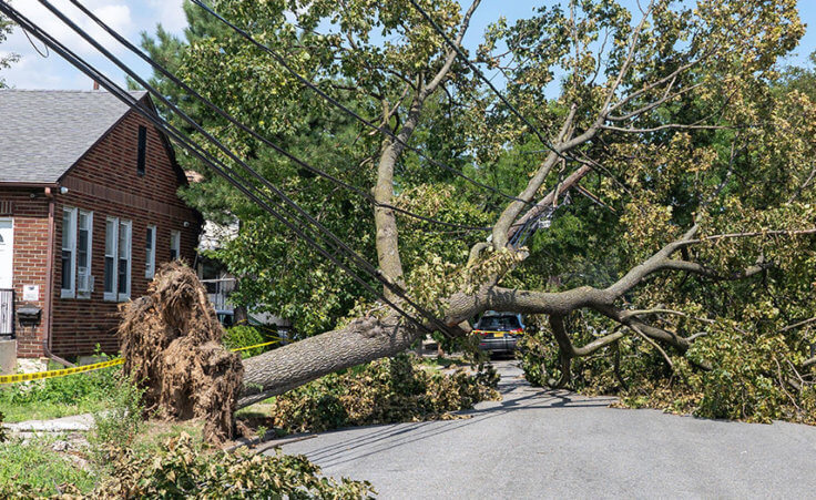 A tree which brought down power lines lies on the street at the Astoria neighborhood after Tropical Storm Isaias battered the region