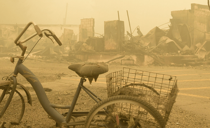 Thirteen-year-old boy dies in Oregon wildfires with his dog in his lap