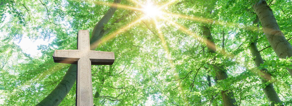 A wooden cross against a forrested background as the sun peeks through the canopy