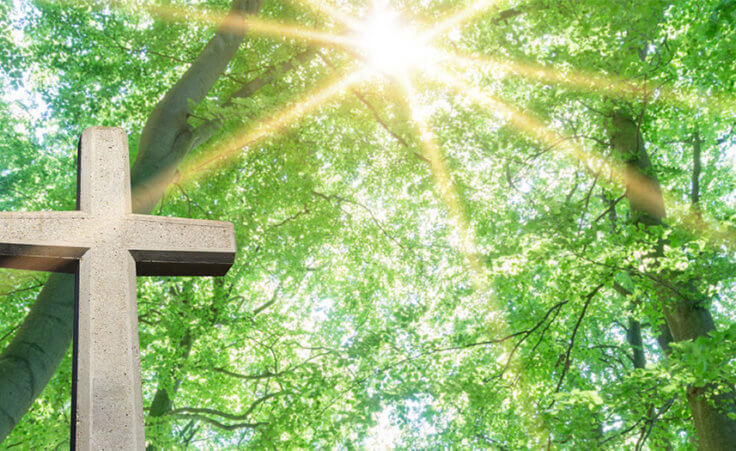 A wooden cross against a forrested background as the sun peeks through the canopy