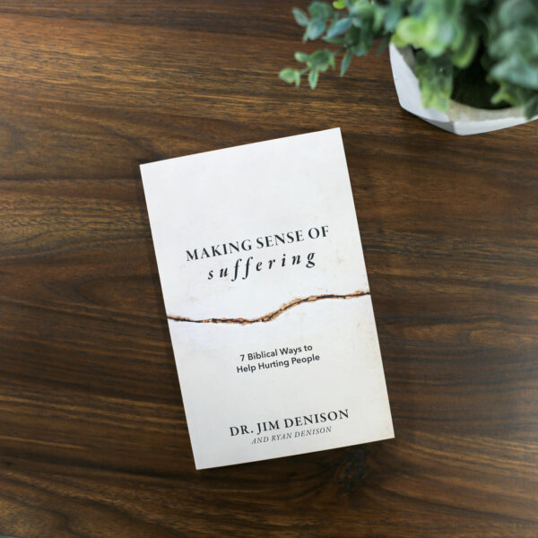 Making Sense of Suffering - Image 2
