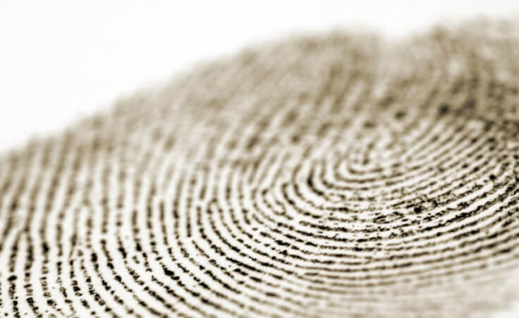 fingerprint closeup