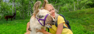 What "llama therapy" and "emotional support fish" say about us