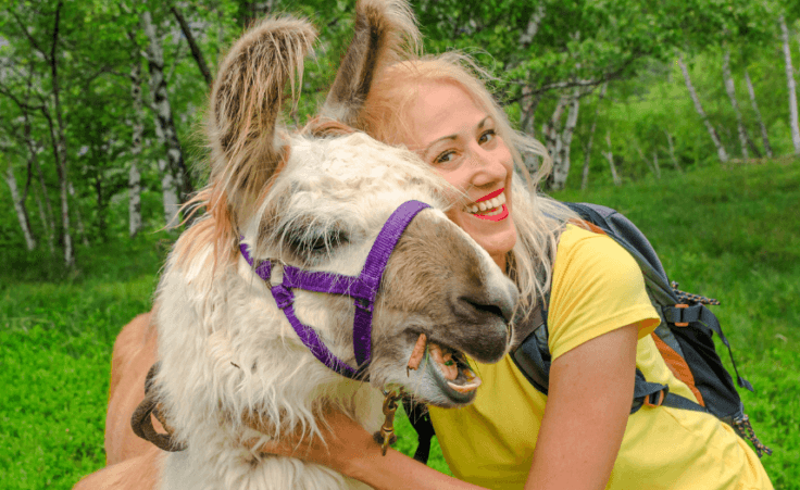 What "llama therapy" and "emotional support fish" say about us