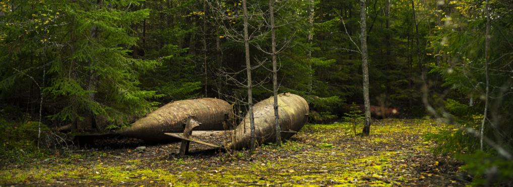 An exploding World War II bomb and the logic of life