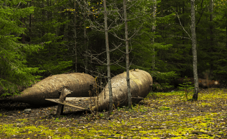 An exploding World War II bomb and the logic of life