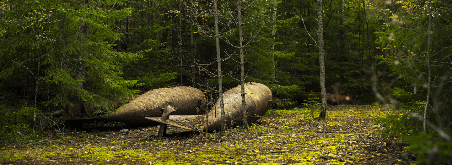 An exploding World War II bomb and the logic of life