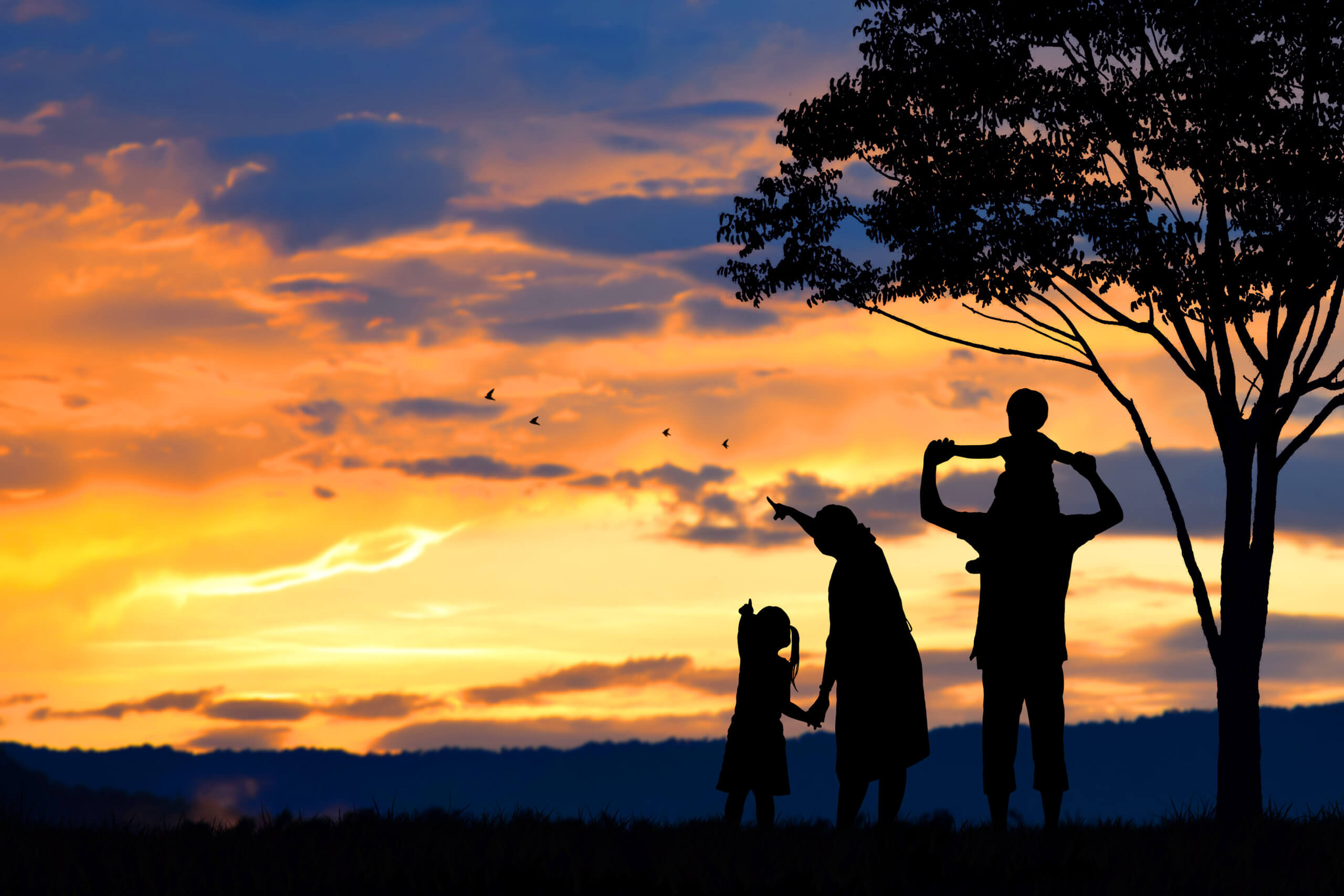 Stock photo: A family of four in silhouette stands next to a tree in front of a sunset as the mother points to the sky. © jes2uphoto/stock.adobe.comj