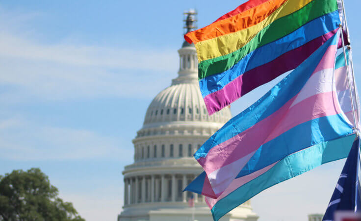 LGBTQ flags fly near the Capitol in Washington, D.C. © Alyssa /stock.adobe.com