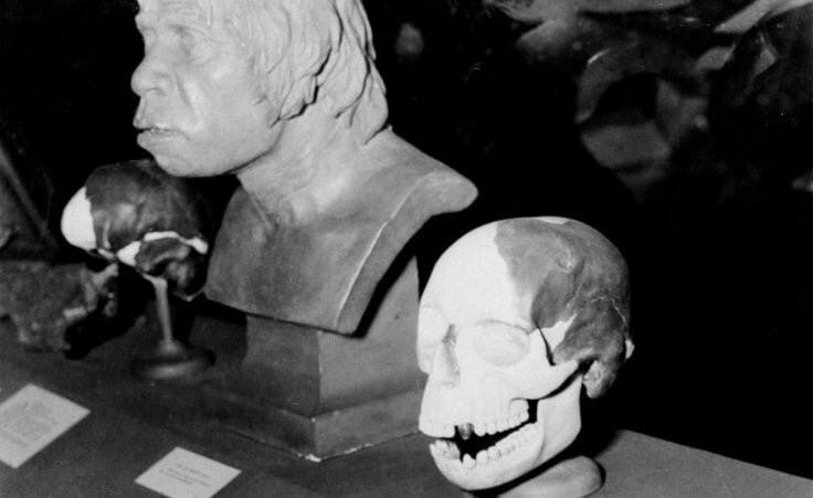 Replicas of the Piltdown Man, which was termed an unscrupulous hoax by British scientists, are on display at the American Museum of Natural History in New York, Nov. 21, 1953. British scientists said the relics, dug from an English gravel pit in 1911-1913, include what they said was an ape's jawbone and a canine tooth. The cranium, they said, is a genuine fossil, about 50,000 years old. (AP Photo/Tom Fitzsimmons)