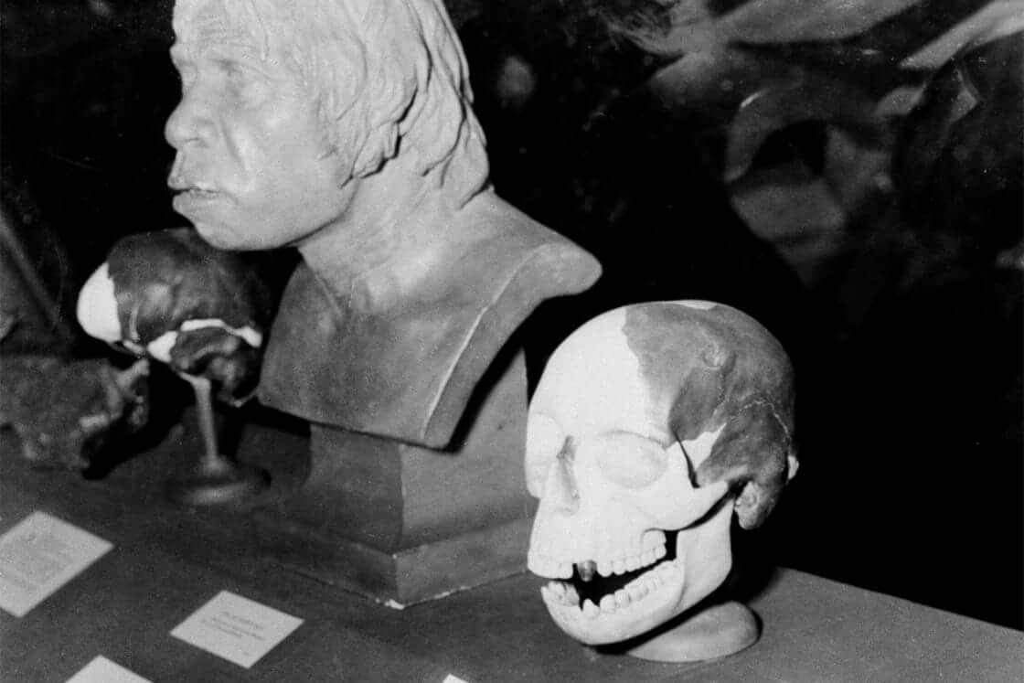 Replicas of the Piltdown Man, which was termed an unscrupulous hoax by British scientists, are on display at the American Museum of Natural History in New York, Nov. 21, 1953. British scientists said the relics, dug from an English gravel pit in 1911-1913, include what they said was an ape's jawbone and a canine tooth. The cranium, they said, is a genuine fossil, about 50,000 years old. (AP Photo/Tom Fitzsimmons)