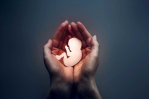 Two hands cup the cutout of an embryo.