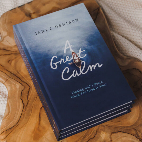 A Great Calm - Image 2