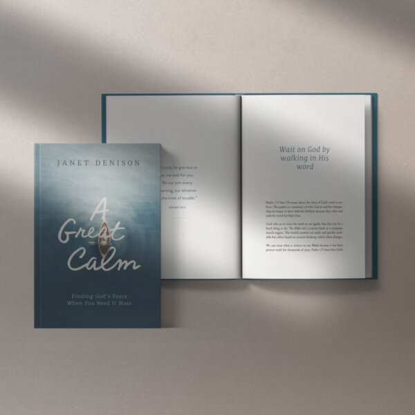 A Great Calm - Image 3