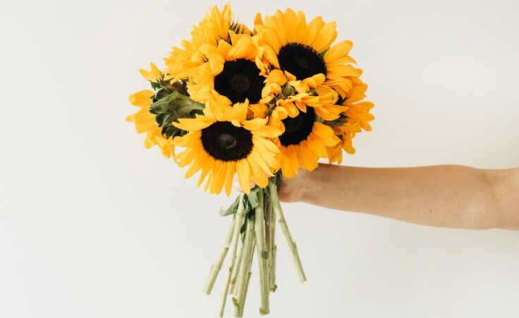 An outstretched arm holds a bouquet of sunflowers against an off-white background. By Floral Deco/stock.adobe.com.