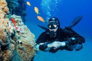 STOCK PHOTO: A scuba diver looks at goldfish underwater. By JonMilnes/stock.adobe.com. A man has said that a fish is his closest friend, an illustration of the increasing loneliness of our day.